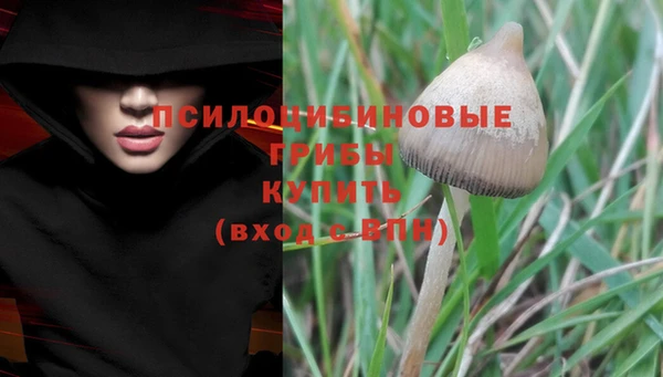 эйфоретик Приозерск