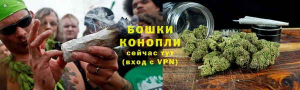 стаф Покровск