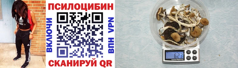 блэк спрут рабочий сайт  Тимашёвск  Галлюциногенные грибы Psilocybine cubensis 